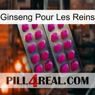 Ginseng For Kidney 10